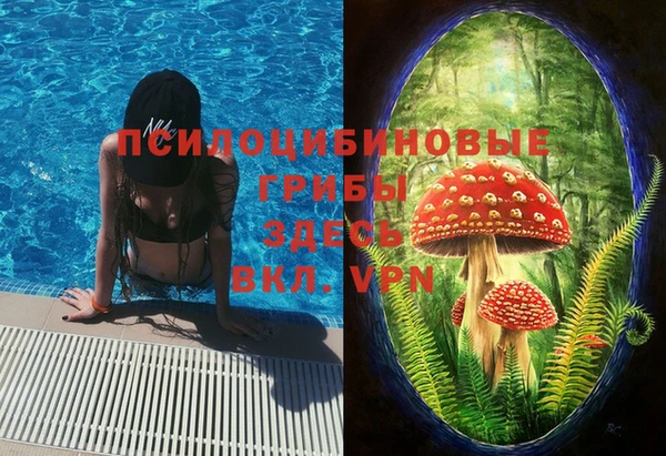 мефедрон Дмитриев