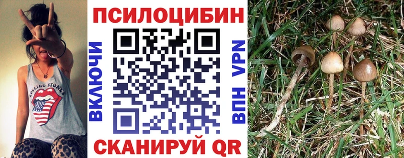 Галлюциногенные грибы Psilocybe  Домодедово 